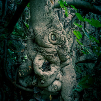 Photographie intitulée "Elephant" par Pierre Duquoc, Œuvre d'art originale, Photographie numérique