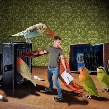 Digitale Kunst mit dem Titel "Papageno" von Pierre Duquoc, Original-Kunstwerk, Fotomontage