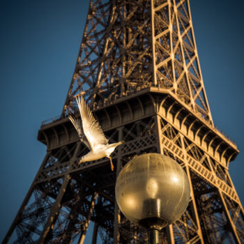 Fotografia intitolato "Eiffel et la mouette" da Pierre Duquoc, Opera d'arte originale, Fotografia digitale