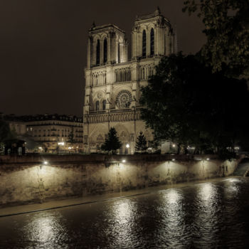 Fotografia zatytułowany „Notre Dame” autorstwa Pierre Duquoc, Oryginalna praca, Fotografia cyfrowa