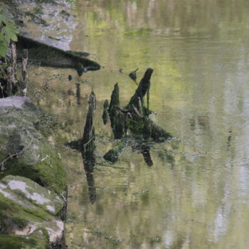 Fotografia zatytułowany „La Madelon” autorstwa Pierre Lacombe, Oryginalna praca, Fotografia cyfrowa