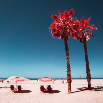 Fotografia intitolato "Red Palms" da Pierre-Louis Ferrer, Opera d'arte originale, Fotografia digitale