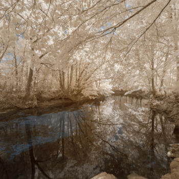 Fotografía titulada "Contemplations | De…" por Pierre-Louis Ferrer, Obra de arte original, Fotografía digital