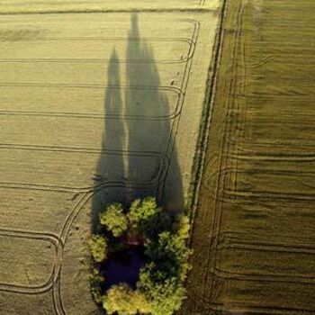 Фотография под названием "Bosquet du soir." - Pierre Mairé, Подлинное произведение искусства