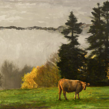 Фотография под названием "Prairie avec un boe…" - Pierre-Marie Fenech, Подлинное произведение искусства, Цифровая фотография