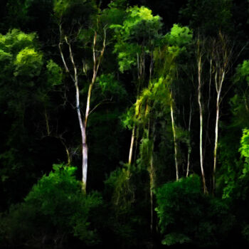 Photographie intitulée "Forêt mystérieuse" par Pierre-Marie Fenech, Œuvre d'art originale, Photographie manipulée