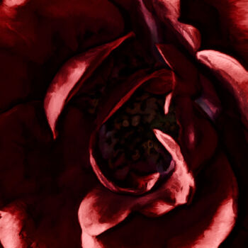Photography titled "Coeur de rose" by Pierre-Marie Fenech, Original Artwork, Manipulated Photography