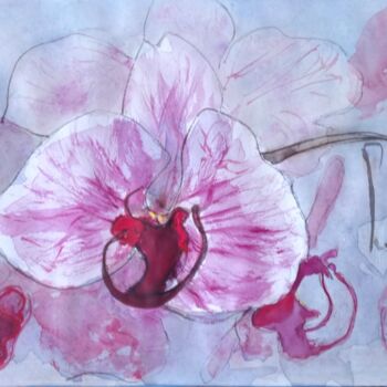 Peinture intitulée "Étude d'Orchidées" par Pierre Milosavljevic, Œuvre d'art originale, Aquarelle