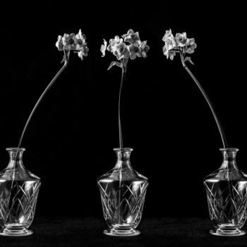 Photographie intitulée "Les Flombres : le N…" par Pierre Nadler, Œuvre d'art originale, Photographie numérique