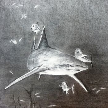 "Le requin." başlıklı Resim Pierre Patenet tarafından, Orijinal sanat, Karakalem