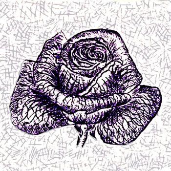 Arts numériques intitulée "UNE ROSE" par Pierre Peytavin, Œuvre d'art originale, Travail numérique 2D