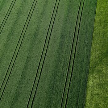 Photography titled "Polder 1 - Agricult…" by Pierre Piton, Original Artwork, Digital Photography
