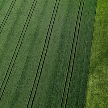 Fotografia intitolato "Polder 1 - Agricult…" da Pierre Piton, Opera d'arte originale, Fotografia digitale