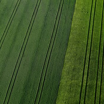 Photography titled "Polder 2 - Agricult…" by Pierre Piton, Original Artwork, Digital Photography