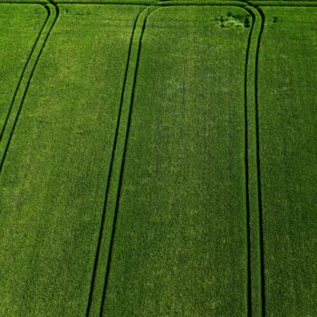 摄影 标题为“Polder 3 - Agricult…” 由Pierre Piton, 原创艺术品, 数码摄影