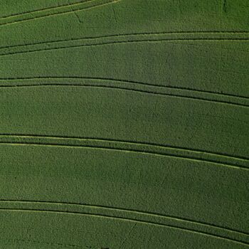 Photography titled "Polder 4 - Agricult…" by Pierre Piton, Original Artwork, Digital Photography