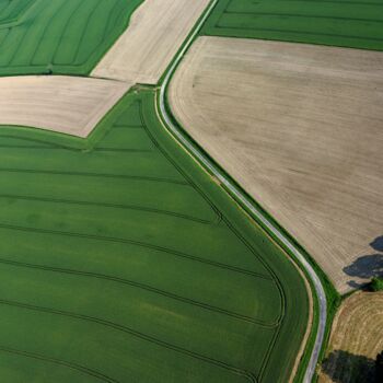 Photographie intitulée "Polder 7 - Agricult…" par Pierre Piton, Œuvre d'art originale, Photographie numérique