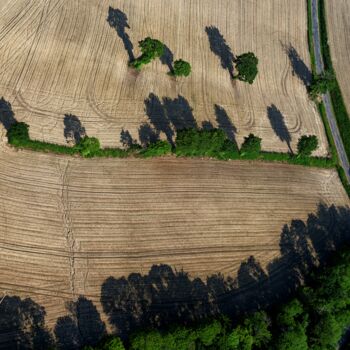 Photography titled "Polder 10 - Agricul…" by Pierre Piton, Original Artwork, Digital Photography