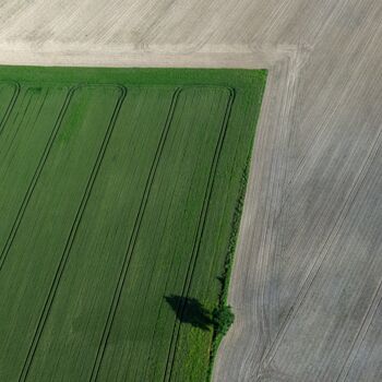 Fotografía titulada "Polder 14 - Agricul…" por Pierre Piton, Obra de arte original, Fotografía digital