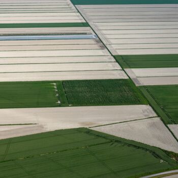 Photographie intitulée "Polder 15 - Agricul…" par Pierre Piton, Œuvre d'art originale, Photographie numérique