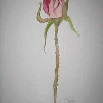 Peinture intitulée "Rose tulipée" par Pierre Varési Pierre, Œuvre d'art originale