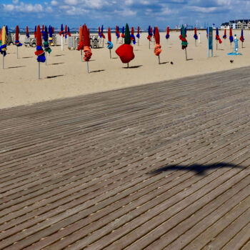 Photography titled "Mouette-Planches de…" by Pierre-Yves Rospabé, Original Artwork, Digital Photography