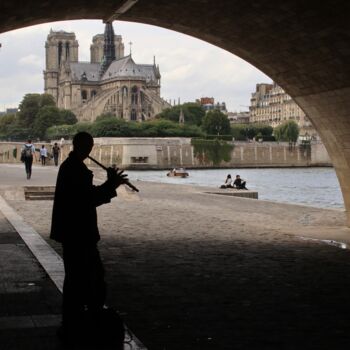 摄影 标题为“Paris, joueur de fl…” 由Pierre-Yves Rospabé, 原创艺术品, 数码摄影