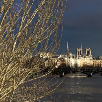 Photographie intitulée "Paris, Ile de La Ci…" par Pierre-Yves Rospabé, Œuvre d'art originale, Photographie numérique