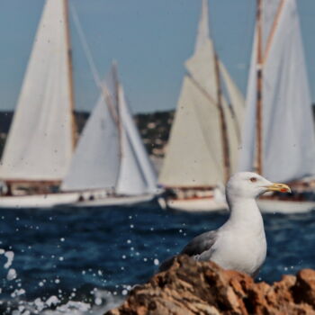 Photographie intitulée "Voiles de Saint-Tro…" par Pierre-Yves Rospabé, Œuvre d'art originale, Photographie numérique