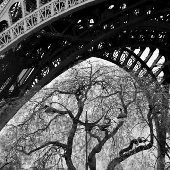Photographie intitulée "Paris, L'arbre deva…" par Pierre-Yves Rospabé, Œuvre d'art originale, Photographie numérique
