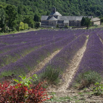Photographie intitulée "Provence, Abbaye de…" par Pierre-Yves Rospabé, Œuvre d'art originale, Photographie numérique
