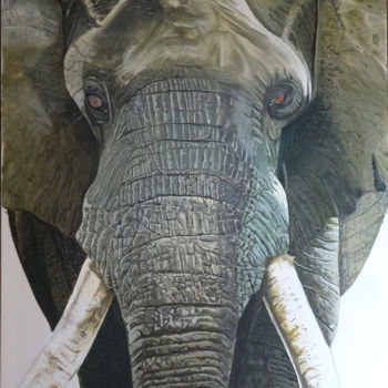 Painting titled "elephant.jpg" by Pierre Julia, Original Artwork, Acrylic