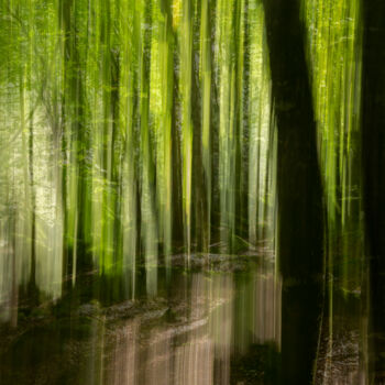 Fotografia intitolato "Ethereal Forest #2" da Pietro Cenini, Opera d'arte originale, Fotografia digitale
