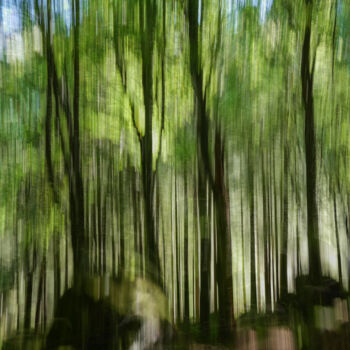 Photographie intitulée "Ethereal Forest #1" par Pietro Cenini, Œuvre d'art originale, Photographie numérique