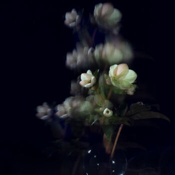 Photography titled "Dancing Flowers" by Pietro Cenini, Original Artwork, Digital Photography