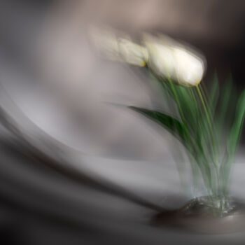 Fotografia intitolato "Dancing Tulips" da Pietro Cenini, Opera d'arte originale, Fotografia digitale