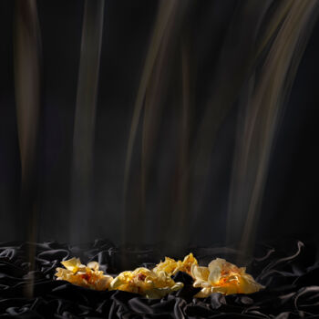 Photography titled "Floral Blaze" by Pietro Cenini, Original Artwork, Digital Photography
