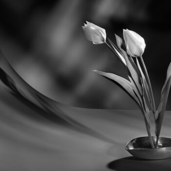 Photography titled "Purity" by Pietro Cenini, Original Artwork, Digital Photography