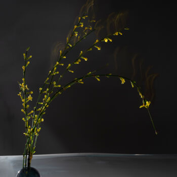 Photography titled "Flaming Light" by Pietro Cenini, Original Artwork, Digital Photography