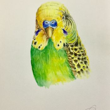 Malerei mit dem Titel "Perichito" von Pietro Mari, Original-Kunstwerk, Aquarell