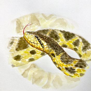 Painting titled "Snake “Barba Amaril…" by Pietro Mari, Original Artwork, Watercolor