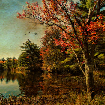 Цифровое искусство под названием "Autumnal Walk" - Pine Singer, Подлинное произведение искусства