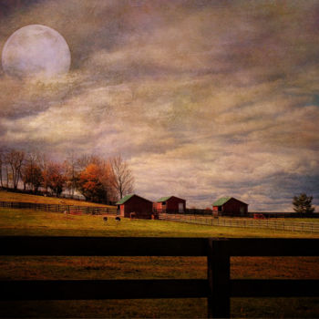 Artes digitais intitulada "Hillbilly Farm" por Pine Singer, Obras de arte originais