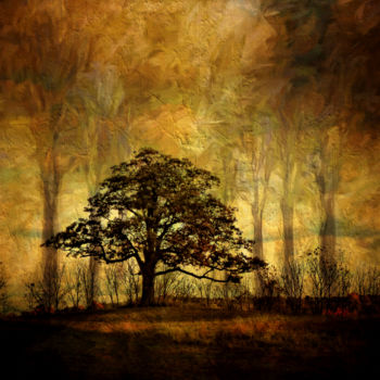 "Peaceful Tree" başlıklı Dijital Sanat Pine Singer tarafından, Orijinal sanat