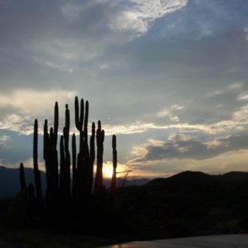 Fotografia intitulada "el sahuaro" por Pinnini, Obras de arte originais