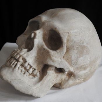 Sculpture titled "Skull #5#" by Pio30, Original Artwork, Other