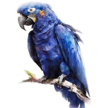 Arte digitale intitolato "Hyacinth Macaw #2" da Piotr Alaborski, Opera d'arte originale, Pittura digitale