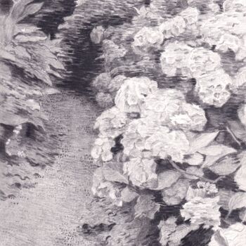 Dessin intitulée "Hydrangeas" par Piotr Szerszynski, Œuvre d'art originale, Crayon