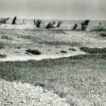 Photography titled "Baie de Somme" by Marie-Françoise Pizzioli, Original Artwork