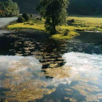 Photography titled "Promenade au bord d…" by Marie-Françoise Pizzioli, Original Artwork